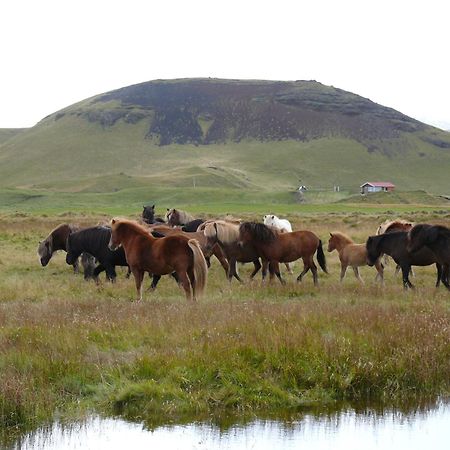 Guesthouse Vellir Vík Buitenkant foto